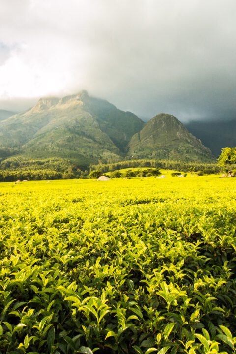 India