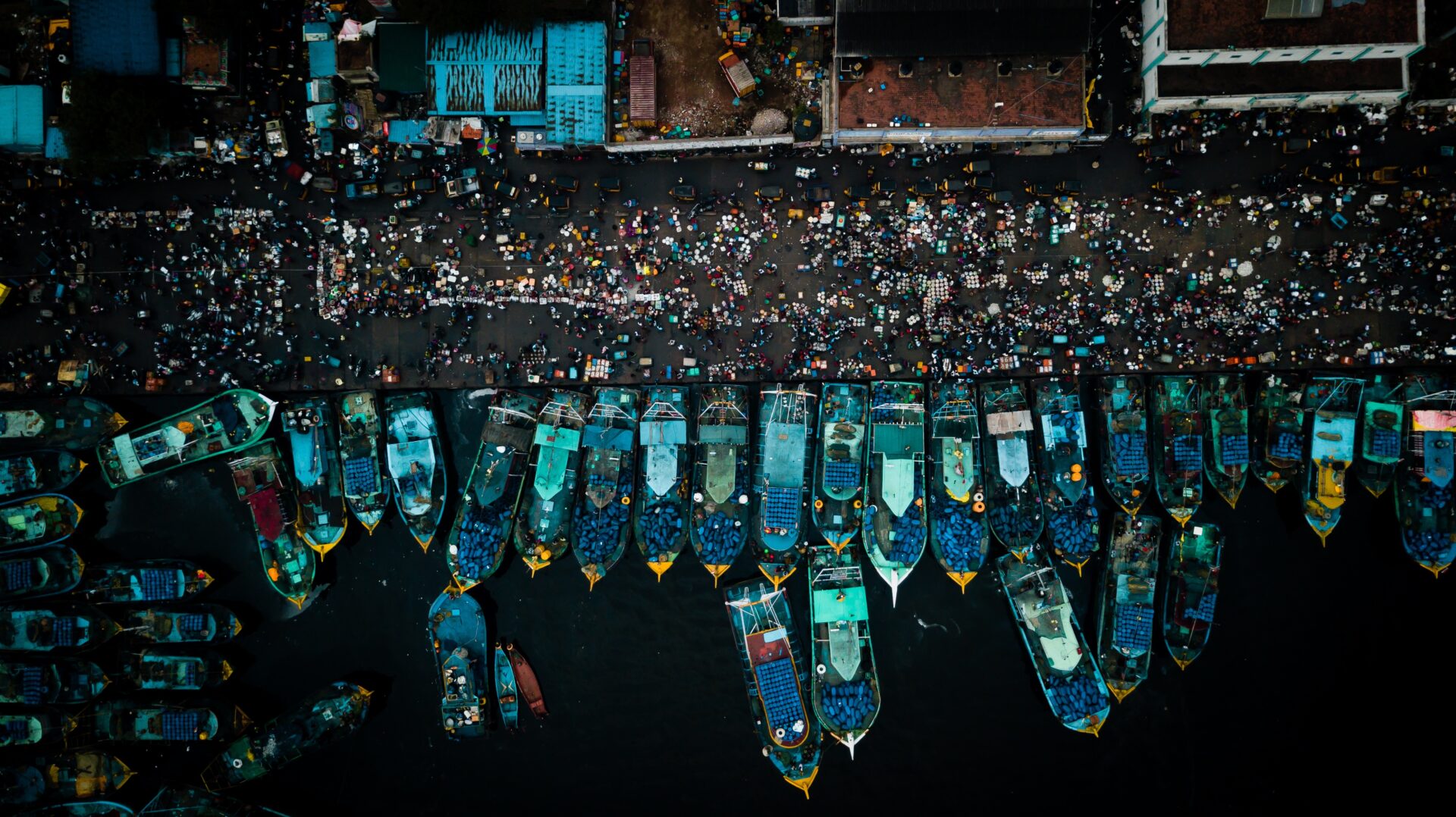blue fishing boats seen from above