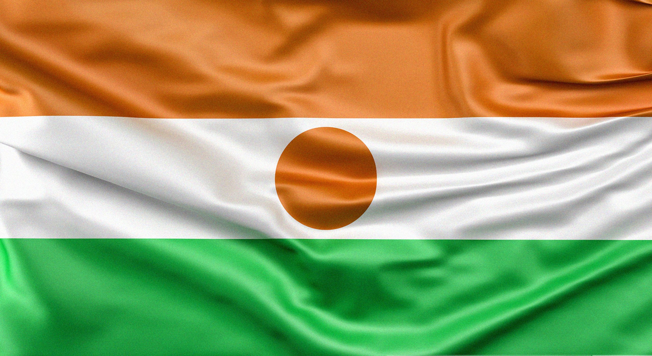 A stylized image of the flag of Niger