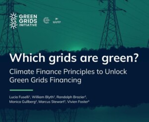 CCG contributes to major Grids Milestones at COP30