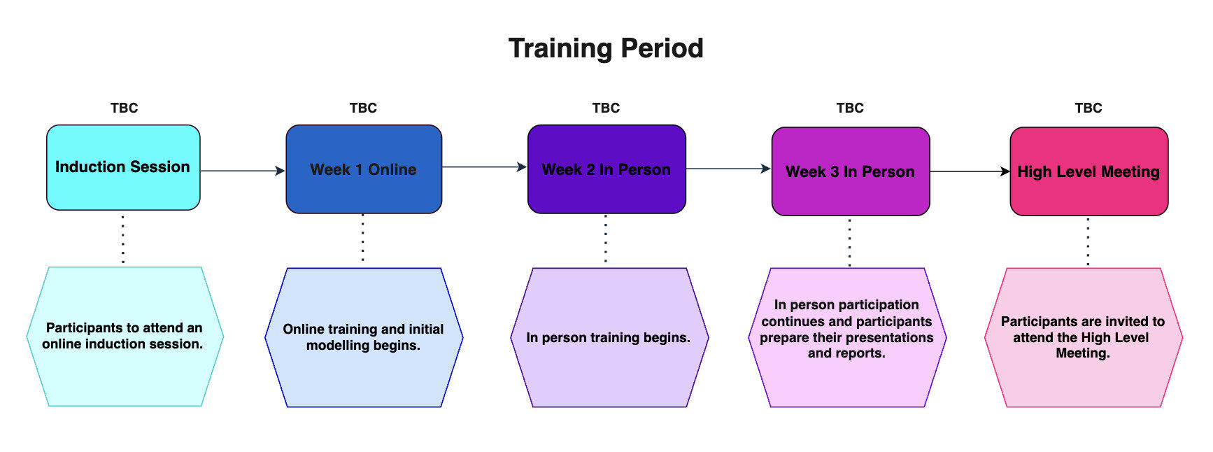 A flowchart outlining the training process. All the information is also in text below