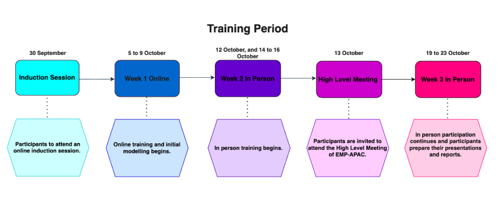 A flowchart for the training period. Details are listed below the graphic
