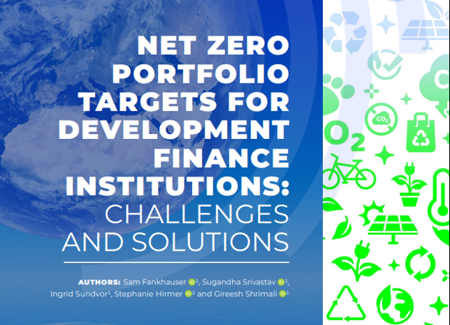 Net Zero Portfolio Tartgets For Development Finance Institutions: Challenges and Solutions