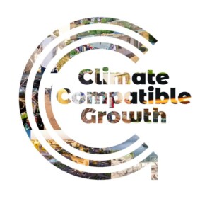 Consultant: to provide support for managing CCG Affiliate Country Projects