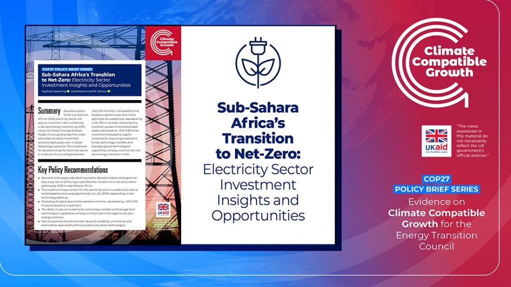 Sub-sahara Africa's transition to net-zero: electricity sector investment insights and opportunities.