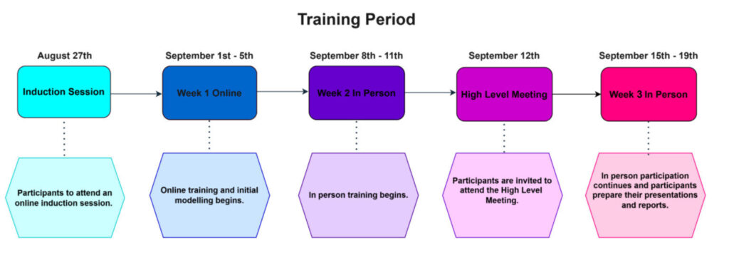 A flowchart of the training period. Information also given in text