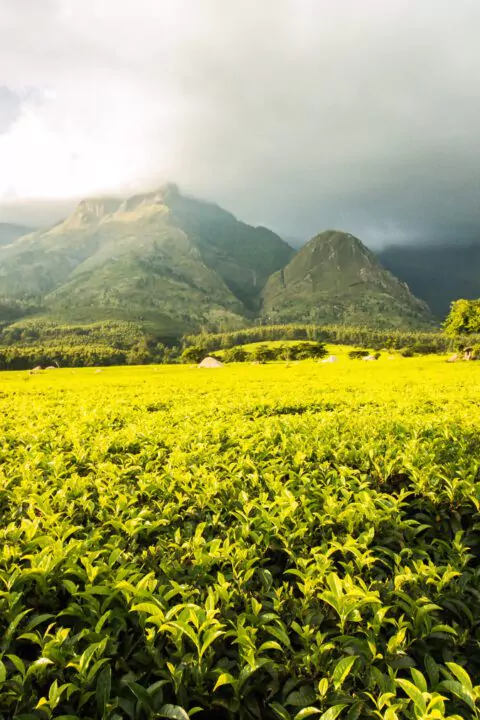 India